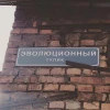 Тупичок