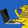 IT-шники Белгорода
