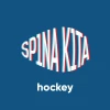 Telegram канал - SP1NA K1TA Hockey