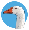 Telegram канал - Smart Goose