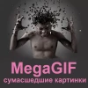 Telegram канал - MegaGIF