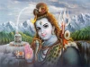 veda ayurveda