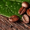 Coffe-Любителям кофе.