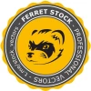 Telegram канал -&amp;nbsp;&amp;nbsp;Ferret Stock | Векторная графика