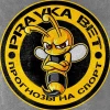 Pravka Bet прогнозы на спорт