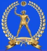 Telegram канал - kolosstyr