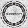BUDAR.BET ll Лучшие прогнозы на спорт😎