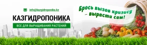 Telegram канал - КазГидропоника