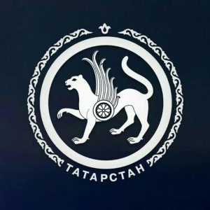 Новостной канал Республики Татарстан.