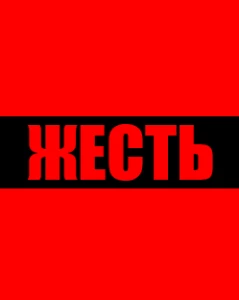 ЖЕСТЬ