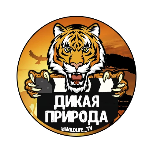 Дикая природа