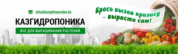 Telegram канал - КазГидропоника