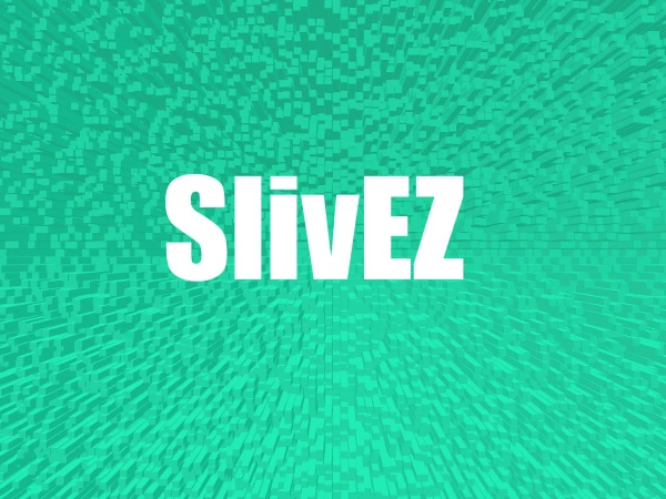 SlivEZ - сливы платных курсов, книг, тренингов