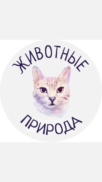 Природа и Животные