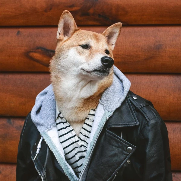 Telegram чат - Nyaa Blog Chat