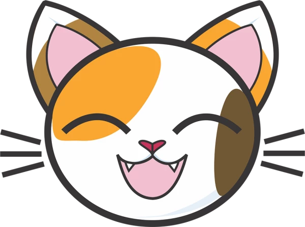 alicatoffical