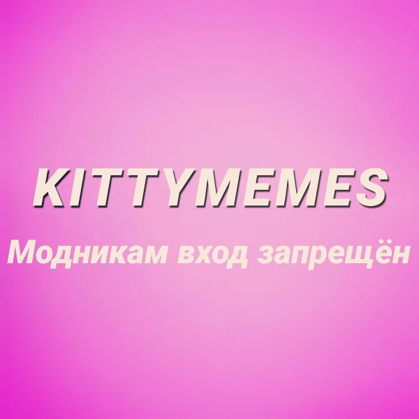KittyMemes