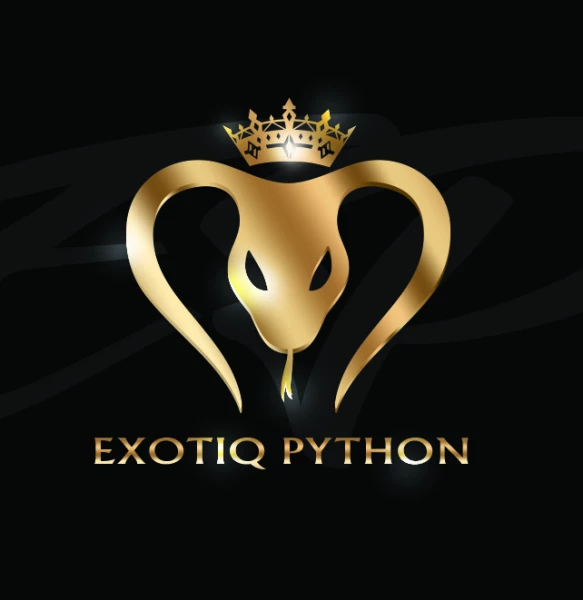 Ителлектуал