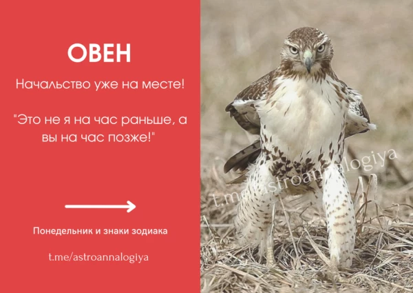 Telegram канал - Astroannalogiya